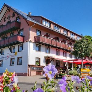 Wochner's Hotel-Sternen Am Schluchsee Hochschwarzwald